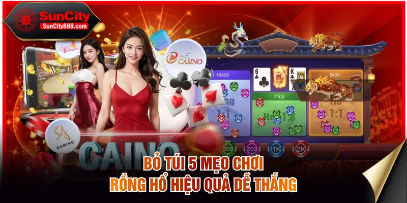 Bỏ túi 5 mẹo chơi Rồng Hổ hiệu quả dễ thắng