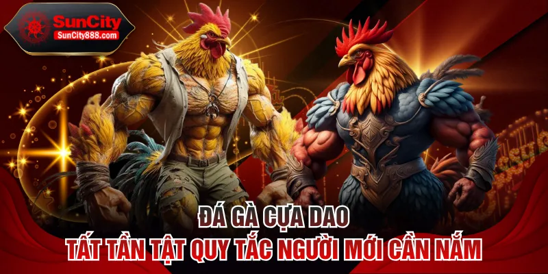 Đá gà cựa dao