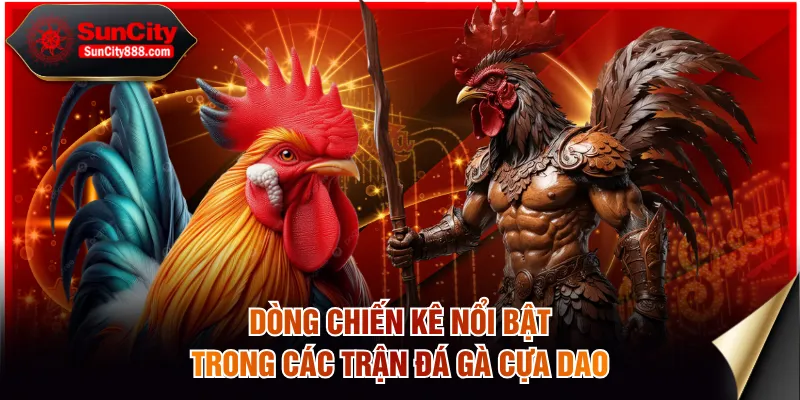 Dòng chiến kê nổi bật trong các trận đá gà cựa dao