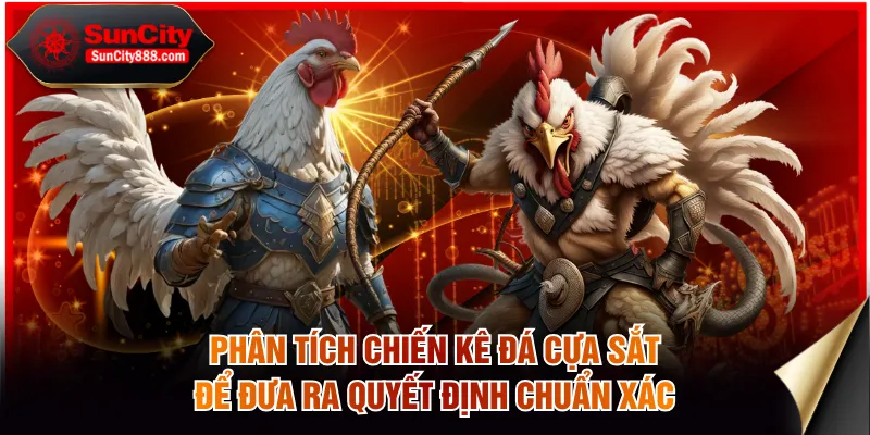 Phân tích chiến kê đá cựa sắt để đưa ra quyết định chuẩn xác