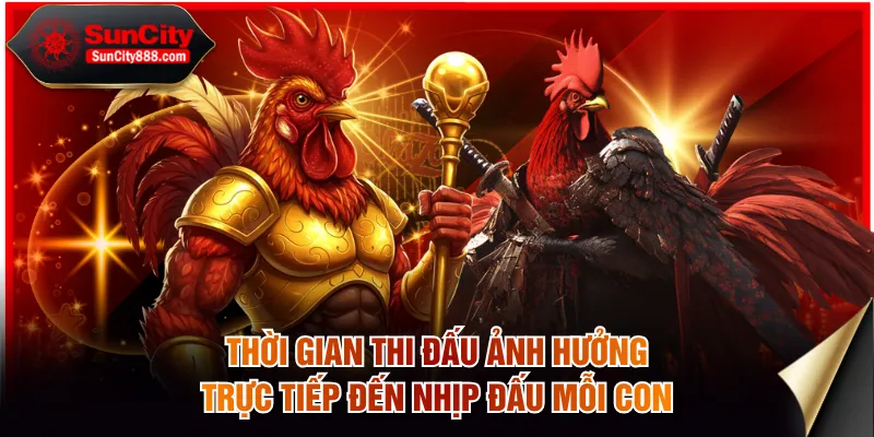 Thời gian thi đấu ảnh hưởng trực tiếp đến nhịp đấu mỗi con
