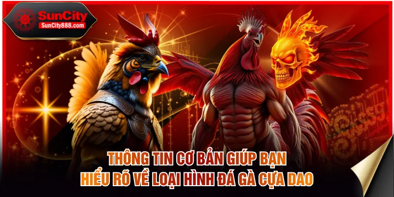 Thông tin cơ bản giúp bạn hiểu rõ về loại hình đá gà cựa dao